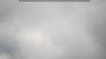 webcam-25-07-24_11-27.jpg