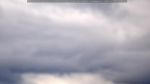 webcam-25-07-24_16-57.jpg
