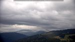 webcam-25-07-24_18-03.jpg