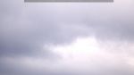 webcam-25-07-24_18-09.jpg
