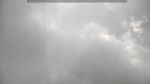 webcam-25-07-25_08-51.jpg