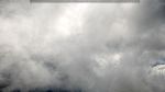webcam-25-07-25_10-09.jpg