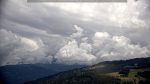 webcam-25-07-25_14-09.jpg