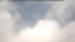 webcam-25-07-26_12-29.jpg