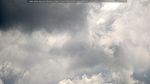 webcam-25-07-27_11-43.jpg