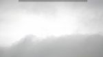 webcam-25-07-28_07-53.jpg