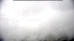 webcam-25-07-28_10-47.jpg