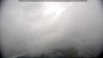 webcam-25-07-28_11-11.jpg