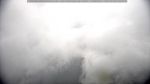 webcam-25-07-28_12-05.jpg