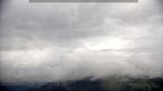 webcam-25-07-28_13-23.jpg