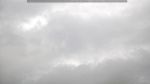 webcam-25-07-28_13-41.jpg