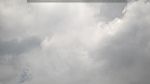 webcam-25-07-29_11-41.jpg
