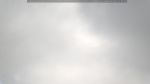 webcam-25-07-29_12-47.jpg