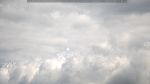 webcam-25-07-29_13-05.jpg