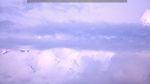 webcam-25-07-30_21-17.jpg