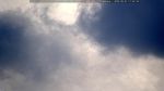 webcam-25-08-01_17-35.jpg