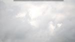 webcam-25-08-21_13-46.jpg