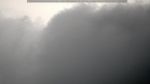 webcam-25-08-21_15-52.jpg