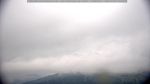 webcam-25-08-21_18-52.jpg