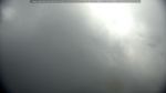 webcam-25-08-22_09-44.jpg